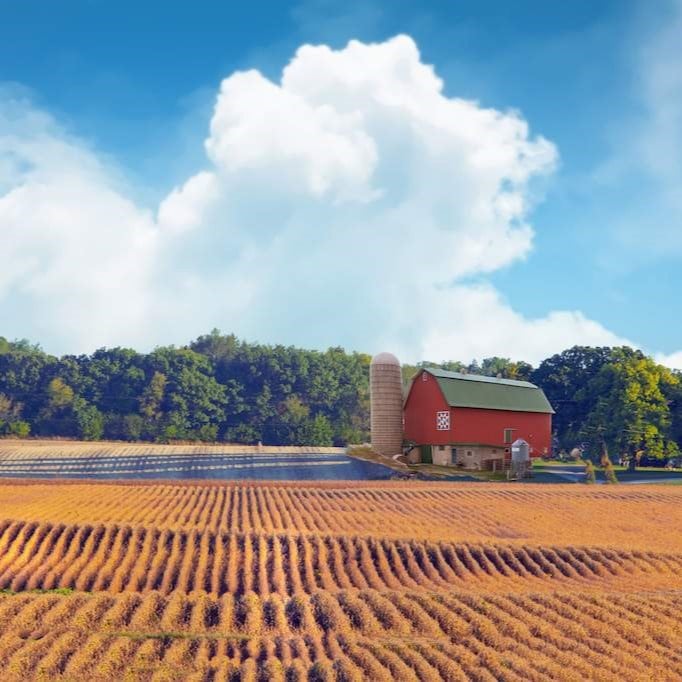 Farmland Legacy Values and Inheritance Wealth Planning